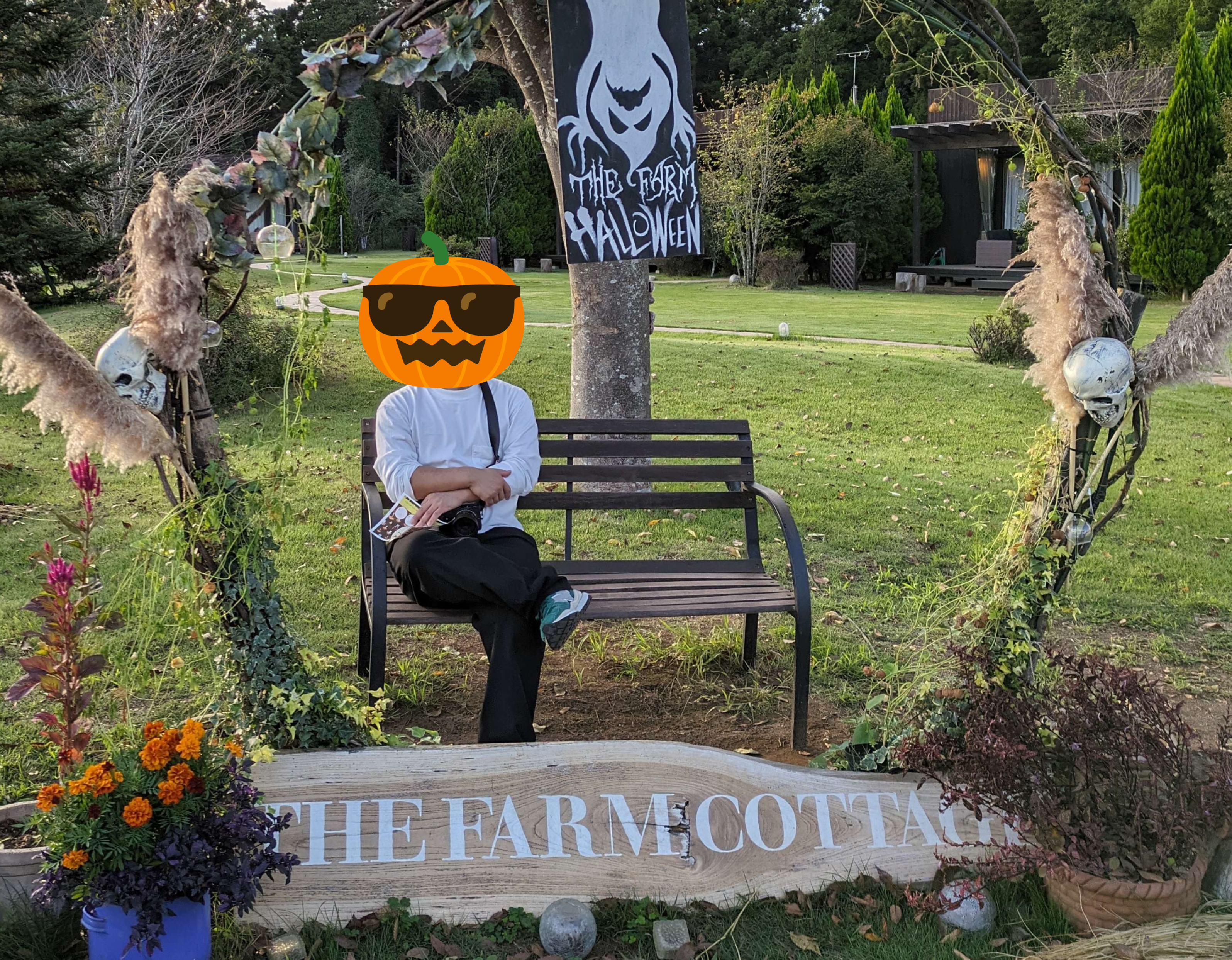 photo.png