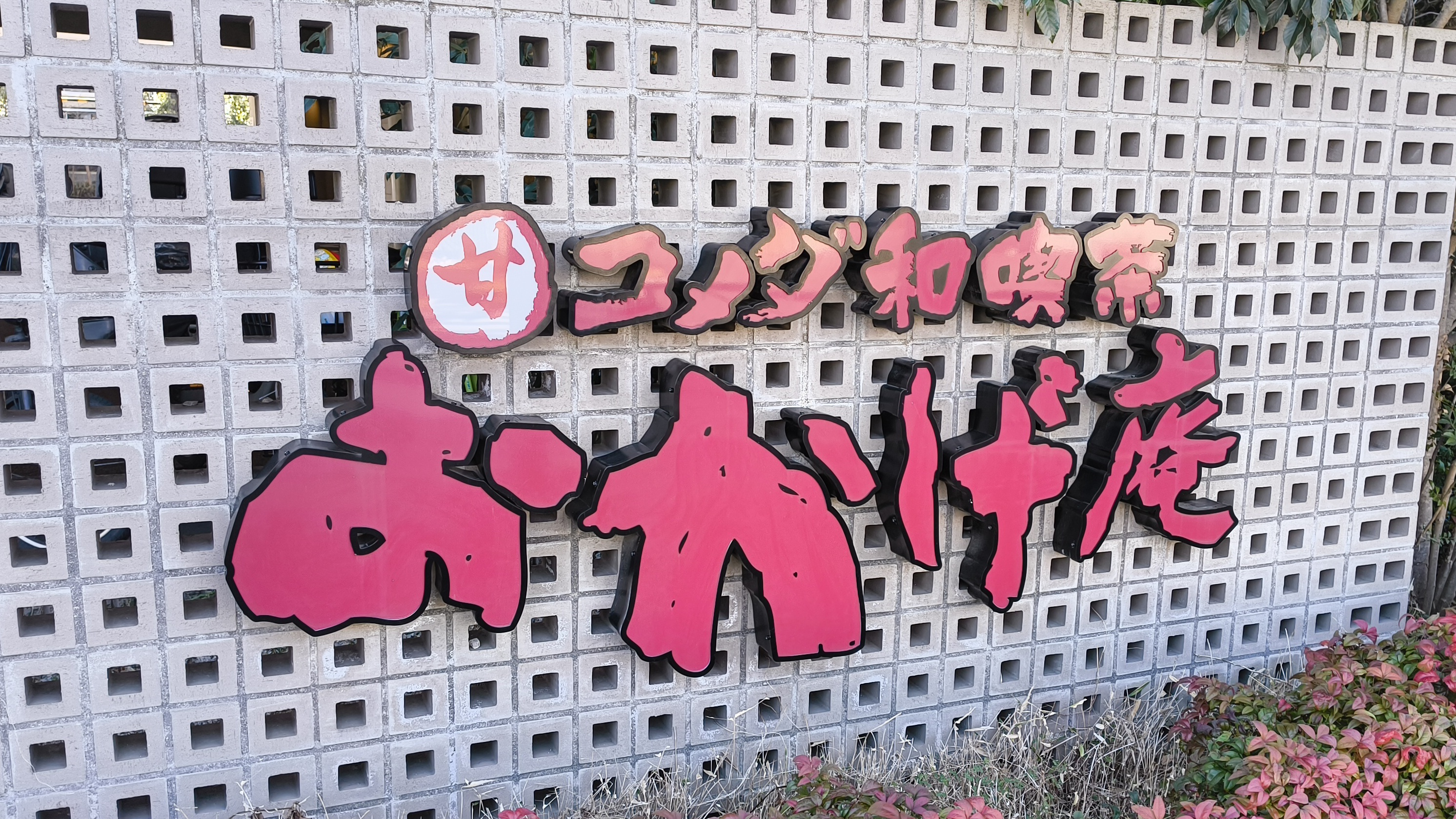 初おかげ庵と自由が丘散策
