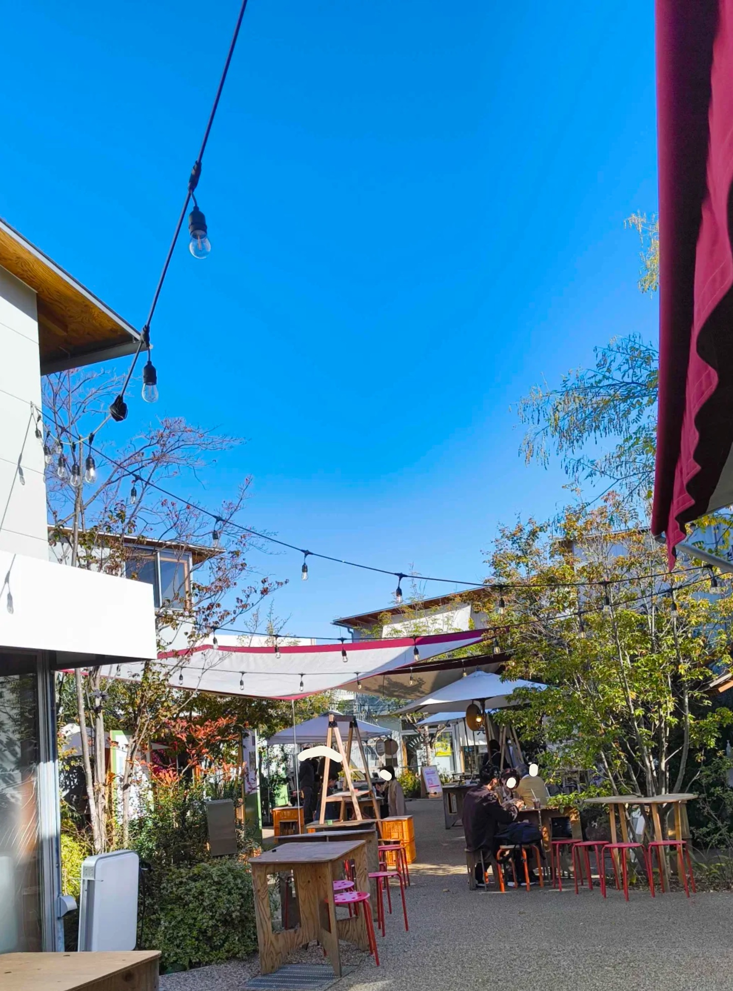 ボーナストラックの風景